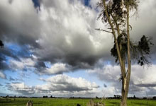 WELLBET:羽毛球——全英公开赛:王祉怡获得女单亚军.