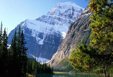 WELLBET：[德甲]勒沃库森角球配合 安德里希远射破门.